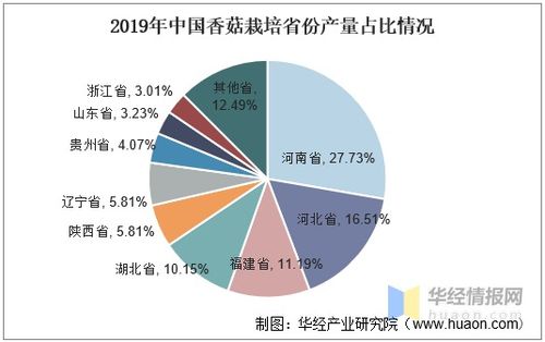 中國香菇產(chǎn)業(yè)發(fā)展現(xiàn)狀、趨勢與產(chǎn)業(yè)聚集度分析——以唐山軟件開發(fā)為例的關聯(lián)思考